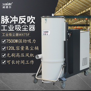 大型脈沖反吹吸塵器